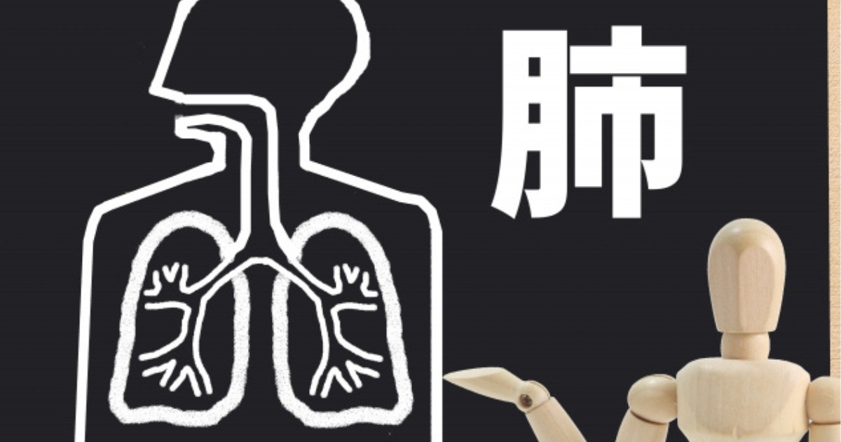 人の肺のイラストと肺の文字