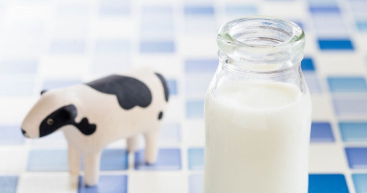 牛の置物とミルク